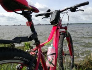 Cube Access WLS berry 'n pink 29er - Mod. 2017 