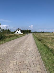 Radweg von Neuendorf nach Kloster auf Hiddensee